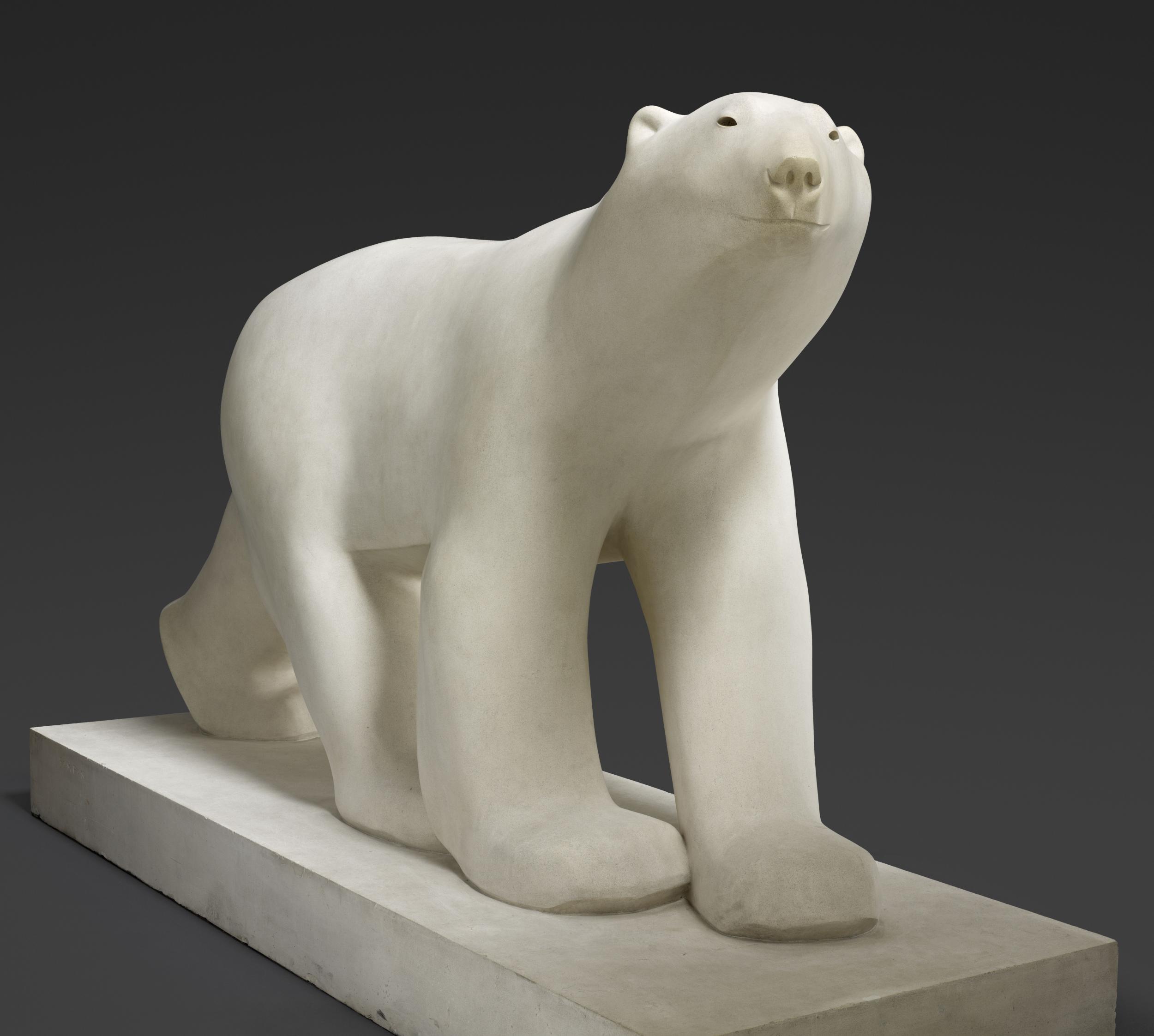 Ours blanc