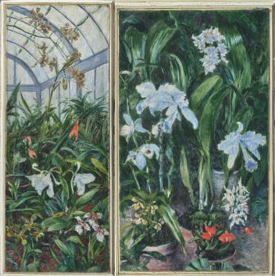 Gustave Caillebotte,  panneaux de porte : Orchidées à fleurs blanches, 1893 