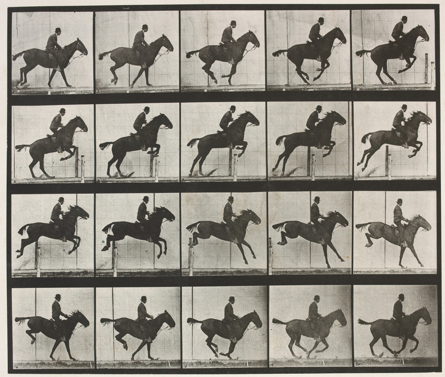 Eadweard Muybridge, Photogravure Company of New York, University of Pennsylvania Saut d'obstacle, cheval noir, 1887 Musée d'Orsay Don Fondation Kodak-Pathé, 1983 © Musée d’Orsay, Dist. RMN-Grand Palais / Alexis Brandt