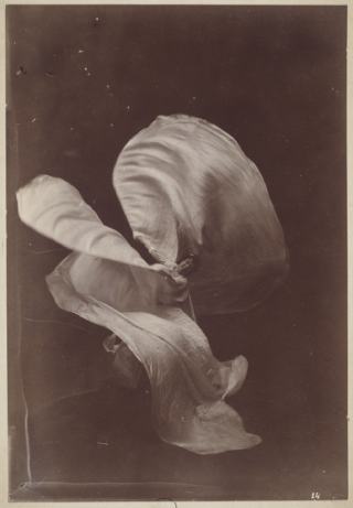 Taber Isaiah West, Loïe Fuller dansant, 1897 © RMN-Grand Palais (musée d'Orsay) / Jean-Gilles Berizzi