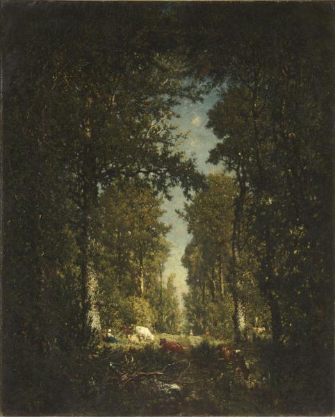 Une avenue, forêt de l'Isle-Adam