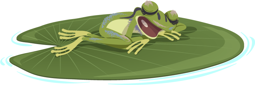 Lily la grenouille faisant la sieste sur un nénuphar